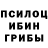Псилоцибиновые грибы Psilocybe Svetlana Zalivina
