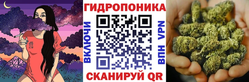 kraken вход  Карасук  Конопля Amnesia 